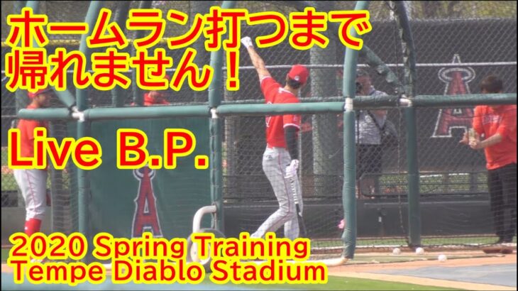 2.21.2020 ホームラン打つまで帰れません！【大谷翔平選手】Shohei Ohtani Live Batting Practice 2020 Spring Training