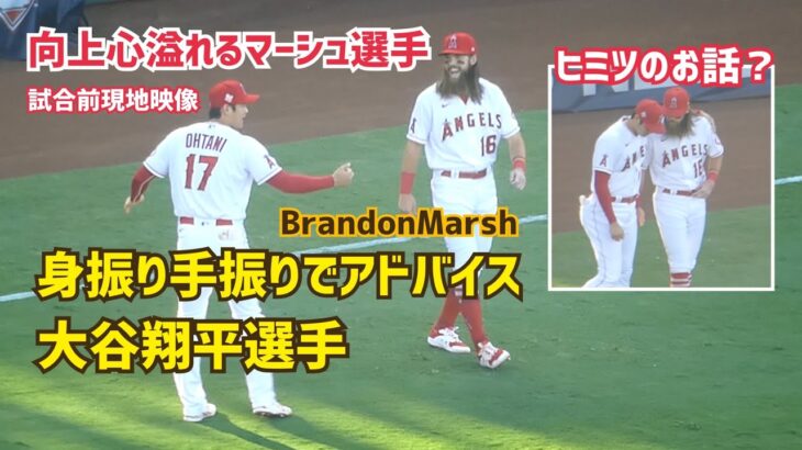 【大谷翔平選手】向上心溢れるマーシュ選手  Shohei Ohtani  Brandon Marsh  Angels