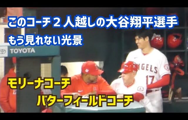 【大谷翔平選手】モリーナコーチとバターフィールドコーチがエンゼルスから離れる Shohei Ohtani  Angels