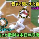 【大谷翔平選手】観客もびっくり 自打バット、そして死球…   Shohei Ohtani Angels