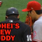 Shohei Ohtani – Umps are not your Friends.