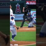 why did the umpire do this to Shohei Ohtani? Kansas City Royals Los Angeles Angels game