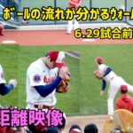 大谷選手の試合前ウォームアップ  ボールの流れがわかる 超近距離映像  Shohei Ohtani  大谷翔平 Angels