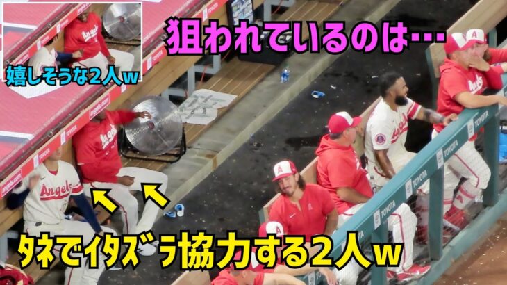 タネでイタズラ 協力する大谷選手とシエラ選手が楽しそうw  Shohei Ohtani Angels  大谷翔平