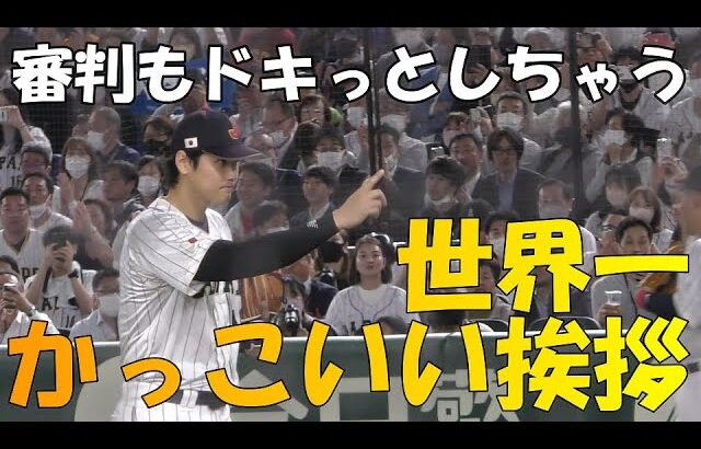 【WBC準々決勝】大谷翔平の、世界一かっこいい試合前の審判への挨拶