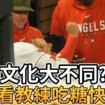 【MLB 美國職棒】日美文化大不同? 大谷翔平看教練吃日本口香糖笑到不行