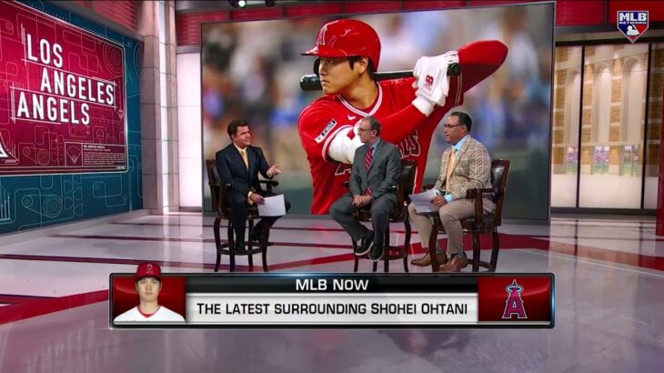 What’s Next for Shohei Ohtani?