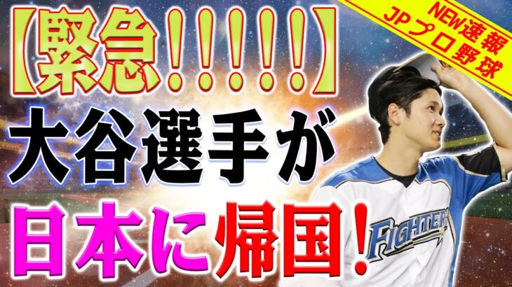 【必見速報!!!!!】大谷翔平が再び日本に帰国することになりました！ 大谷翔平のユニフォームは完売しました！