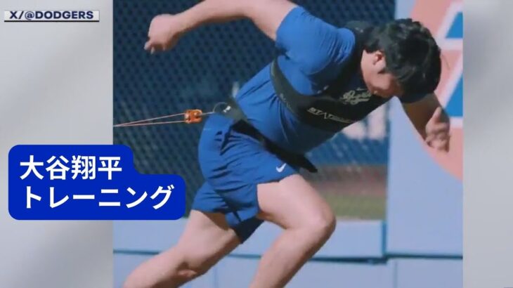Shohei Ohtani trains in Dodgers gear 大谷翔平のプレシーズントレーニング