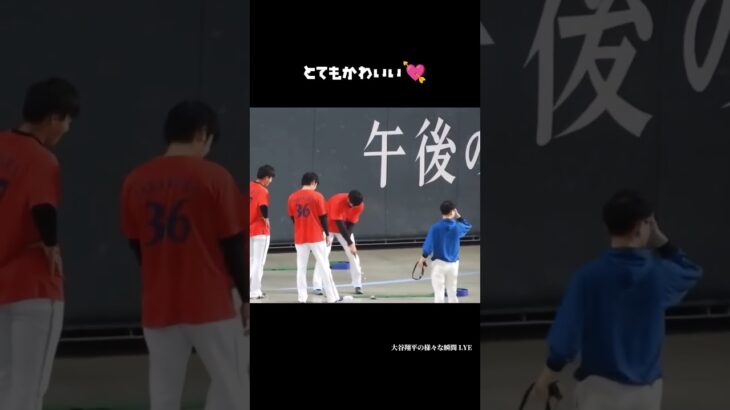 とてもかわいい💗💗💗 #大谷翔平 #shoheiohtani #shorts  #japan #trending #fyp #trendingshorts #baseball