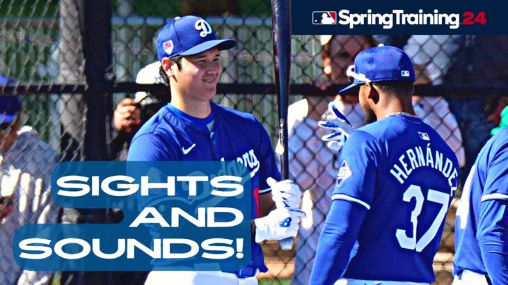 Dodgers Spring Training Highlights Feb 14, Full Team Workout! Teo, Ohtani, Mookie, Batting Practice