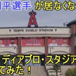 大谷翔平選手が居なくなったテンピ・ディアブロ・スタジアムに行ってみました。【大谷翔平選手】Tempe Diablo Stadium 2024 Angels
