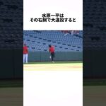 大谷翔平通訳・水原一平の雑学エピソードpart2