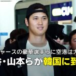 【MLB】ドジャース・大谷、山本らが韓国に到着！現地の熱い雰囲気をお届け！
