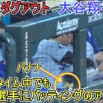 試合中ダグアウト～モグモグタイム中でもラックス選手にアドバイス～【大谷翔平選手】対アストロズ～シリーズ最終戦～Shohei Ohtani vs Astros 2024