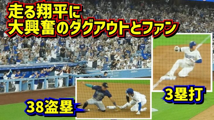 激走‼️3塁打に38盗塁 走る大谷翔平にみんな大興奮😂 【現地映像】8/20vsマリナーズShoheiOhtani Dodgers