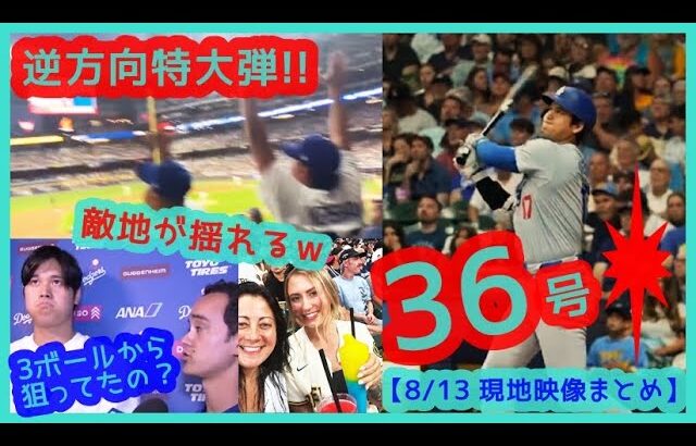 ⚾️大谷翔平36号逆方向特大弾で敵地が揺れるｗ＆最新リーグ成績まとめ【現地映像まとめ】（2024.8.13 Dodgers 5-2 Brewers 敵地ミルウォーキー）