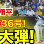 速報！キター㊗️大谷ウッタゾ!!!今季36号ホームラン！本塁打！大谷翔平　第3打席【8.12現地映像】ドジャース2-0ブリュワーズ1番DH大谷翔平　5回表無死ランナー1塁