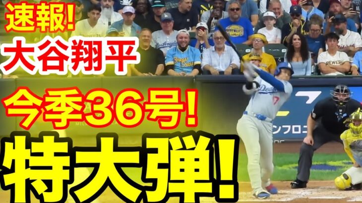 速報！キター㊗️大谷ウッタゾ!!!今季36号ホームラン！本塁打！大谷翔平　第3打席【8.12現地映像】ドジャース2-0ブリュワーズ1番DH大谷翔平　5回表無死ランナー1塁