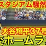 現地スタジアムが騒然！大谷翔平37号ホームラン！現地映像