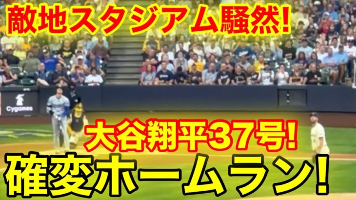 現地スタジアムが騒然！大谷翔平37号ホームラン！現地映像