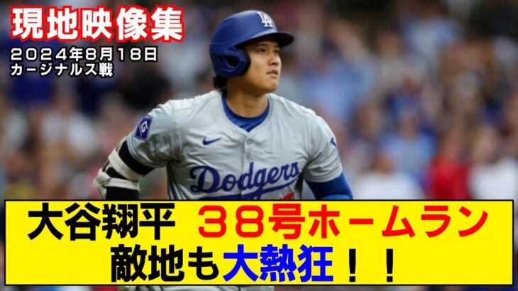 【現地映像まとめ】大谷翔平の38号ホームラン！満員の敵地に見せつける！！【ドジャースvsカージナルス】