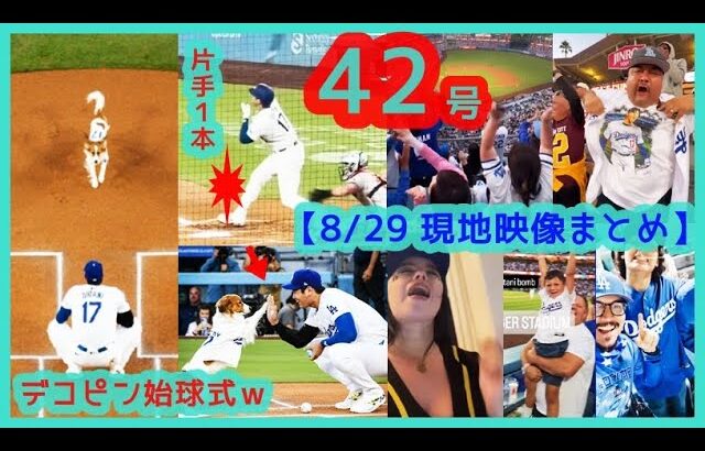 ⚾️大谷翔平 デコピン始球式ｗ→ 42号先頭打者ホームラン＆２盗塁で本拠地が揺れるｗ【現地映像まとめ】（2024.8.29 Dodgers 6-4 Orioles）