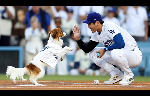 Dog first pitch! Shohei Ohtani’s dog Decoy RUNS out the FIRST PITCH!