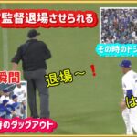 ロバーツ監督退場😱その時のダッグアウトとスタジアムの様子#大谷翔平現地映像 #大谷翔平速報#ohtanishohei#ドジャース