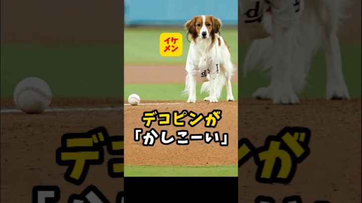 【大谷翔平】デコピンが「かしこーーい」🐶😍 #shorts #baseball #大谷翔平 #mlb