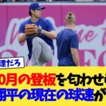 今季10月の登板を匂わせられた大谷翔平さんの現在の球速がこちら【なんJ プロ野球反応集】【2chスレ】【5chスレ】