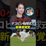 ㊗️240万再生！※映像あり 真美子夫人も見届けた大谷翔平とデコピンの始球式で新事実が発覚！10ヶ月以上使用されているアイテムに注目が集まる！しかも値段は衝撃の・・#shorts #大谷翔平 #野球