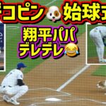 スタジアム大喝采‼️デコピン始球式🐶翔平パパはデレデレ😂 【現地映像】8/28vsオリオールズ ShoheiOhtani Dodgers