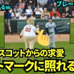 敵地マスコットブルーパーと絡む大谷！ハートマーク🫰に照れたり、大谷からもたれかかりに行って珍しい光景でファン大興奮！！【現地映像】9月17日ドジャースvsブレーブス第4戦