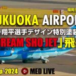 🔴福岡空港ライブカメラ 大谷翔平選手特別塗装機 Sun. 29 Sep. 2024 Fukuoka Airport Live (FUK/RJFF)