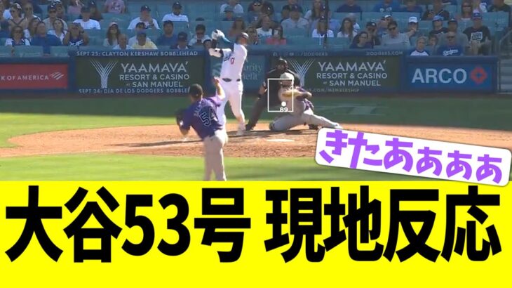 【現地映像】大谷翔平、第５３号ホームランで現地大熱狂となる！！！