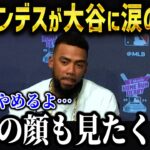 ヘルナンデスが大谷に衝撃発言「もう友達じゃないよ」二人の関係に隠された秘密がヤバい【海外の反応/MLB/メジャー/野球】