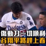 肩傷動刀一切順利 大谷翔平預計趕上明年春訓/愛爾達電視20241106