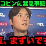 【緊急速報】大谷翔平の愛犬デコピンが病院に緊急搬送！「妻に抱えられて…」目撃されたデコピンの衝撃の容態が…【田中真美子/海外の反応/米国の反応/MLB/ドジャース】