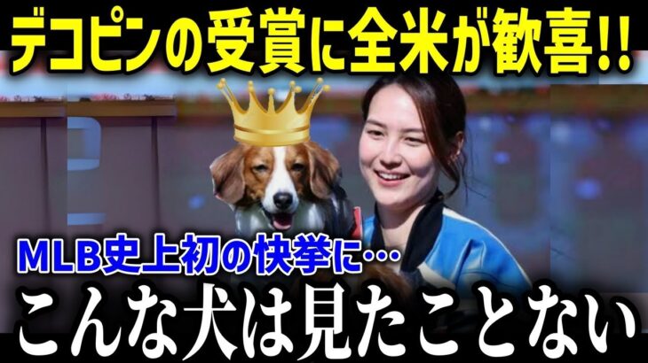 MVP大谷の愛犬デコピンがまさかの初受賞！「こんな犬見たことない」デコピンの凄さにスター選手たちが驚愕の嵐！【海外の反応/MLB/メジャー/野球】