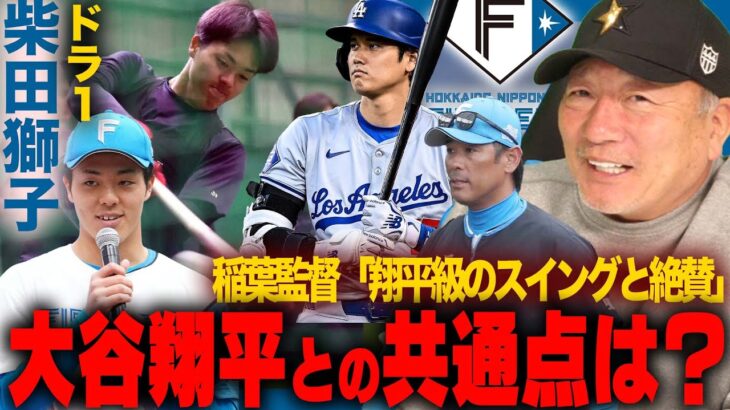 【日本ハムドラ１】 稲葉2軍監督“大谷級スイング絶賛”「柔らかさもある逆方向にも飛ばしそう」高木豊が見た柴田の可能性と大谷翔平との共通点は？