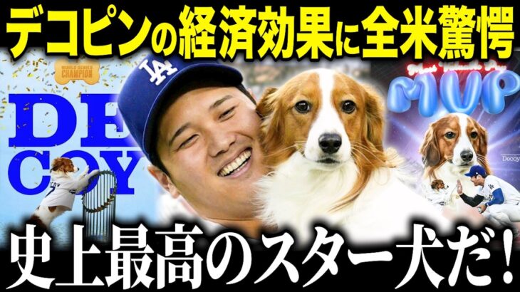 大谷翔平の相棒デコピンの経済効果が異常すぎる！「もはや犬じゃない！」グッズ販売での驚異の収入に米メディアも驚愕【海外の反応/MLB/メジャー/野球】