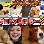 【大谷翔平】デコピン可愛いまとめ！「デコピンが好きすぎて犬になる大谷ｗ」！真美子さんも登場！shohei Ohtani