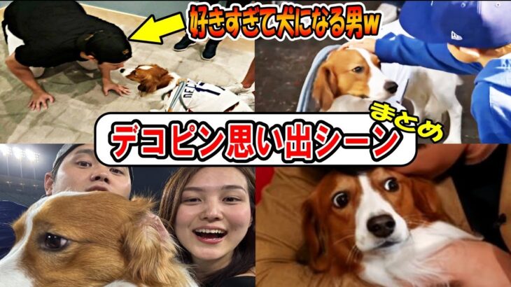 【大谷翔平】デコピン可愛いまとめ！「デコピンが好きすぎて犬になる大谷ｗ」！真美子さんも登場！shohei Ohtani