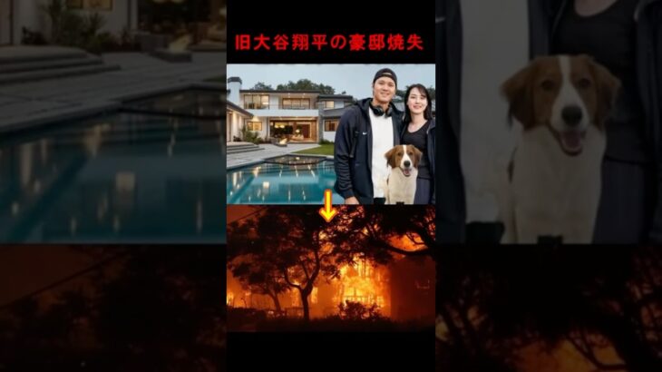 旧大谷翔平豪邸も火事の被害に