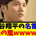 大谷翔平の名言に 共感の嵐wwwwww【反応集】【野球反応集】【なんJ なんG野球反応】【2ch 5ch】