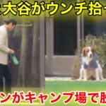 なんと大谷がデコピンのうんちを拾った！2.9自主トレ現地映像