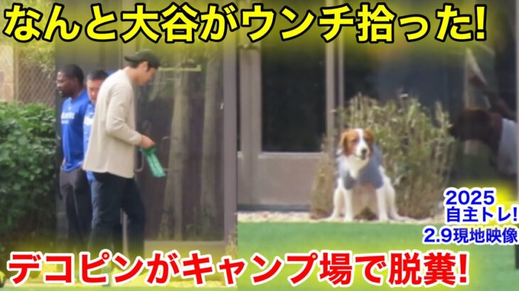 なんと大谷がデコピンのうんちを拾った！2.9自主トレ現地映像