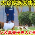 速報！デコピン&真美子夫人も登場！キャンプに来た大谷家族勢揃い！2.9自主トレ現地映像