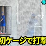 今季キャンプ初！ケージで打撃練習する大谷翔平【現地映像】2025年2月6日スプリングトレーニング